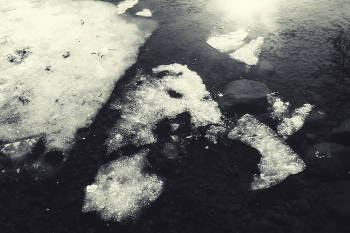 Жизнь вокруг / Описание