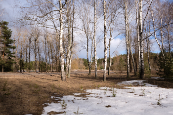 Весенний день 5 / В парке Мазурино, Витебск.