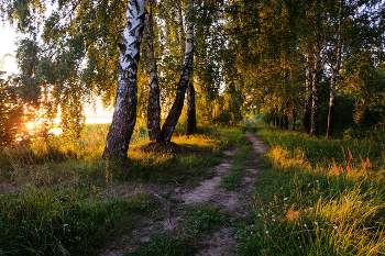 Волжские закаты / закат берег Волга дорога свет солнце лес
