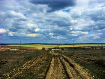 Дорога к полю... / Дорога, поле,зеленеют озимые, небо