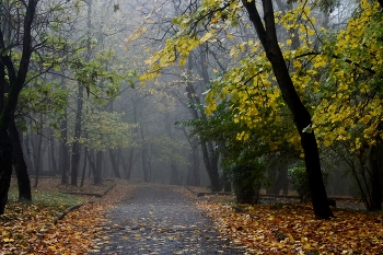 В парке осеннем...... / Железноводск. Октябрь