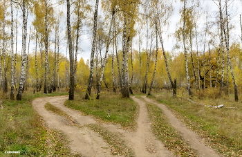 Танец Осени тих... / Октябрь.