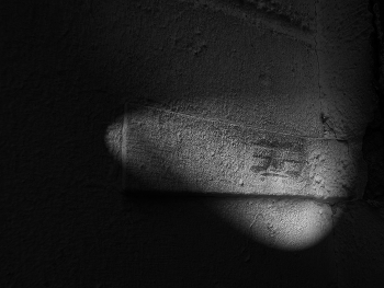 &nbsp; / Im Spotlight