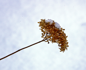 &nbsp; / Конец марта