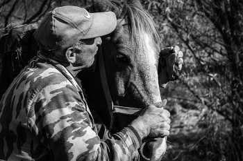 Любовь / Мужчина целует свою лошадь