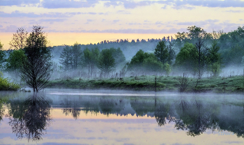 Озеро Рожок. / Весна. Утренний туман.
