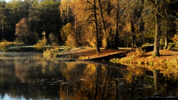 В парке осеннем...... / Петербург. Шуваловский парк. Октябрь