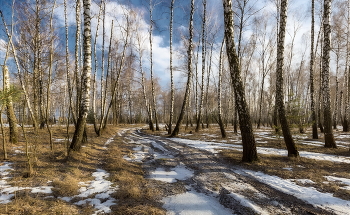 То мороз, то лужи голубые... / Март