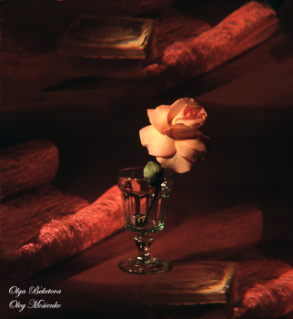 Натюрморт с розой на коричневом фоне / Натюрморт с розой на коричневом фоне