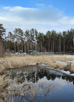 Открытая вода! / Теперь в парке "Утиное озеро" появятся уточки.