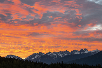 Этюд в багряных тонах / ...