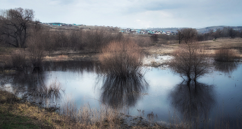 Половодье / весна, вода, кусты