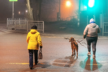 Прогулка... / Ночной город, на переходе...