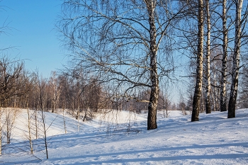 Морозное утро / п.Урняк,Татарстан,Зеленодольский р-он