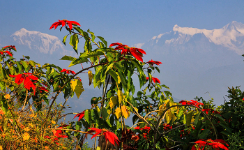 &nbsp; / Непал. Покхара. Возможно репост