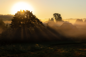 Утро в деревне / Августовский утренний туман в Псковской области.