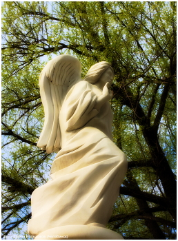 Ангел / Памятник ангелу