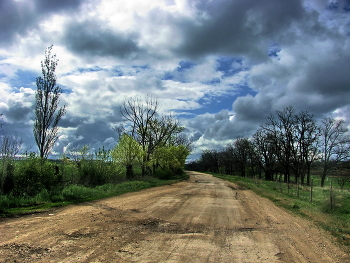 Эх, дороги... / Весна, дорога,деревья,небо,облака