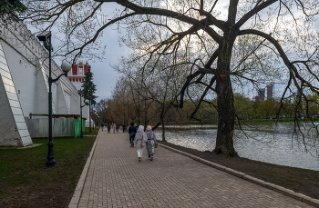 Возле Новодевичьего монастыря / Москва