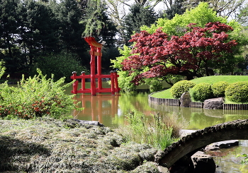 Уголок Японии в Нью-Йорке / ***