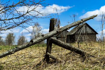 Старая изгородь / Смоленская обл