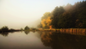 Туманное утро / Осенний пейзаж