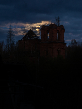 Жизнь вокруг / Описание