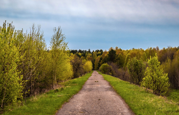 В весенний лес. / ...