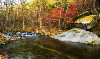 водные скалы / Осенью на ручье в Чистоводном.