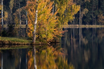 В зеркале утреннем...... / Петербург. Осиновая Роща. Сентябрь