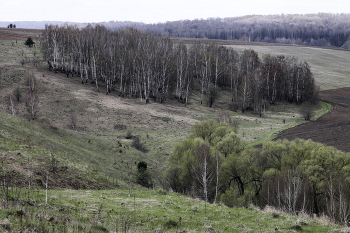 Пейзаж Зарайского района (Московская область) / Пейзаж Зарайского района (Московская область)