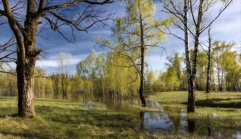 Половодье- причуда весенняя... / Майский вечер.