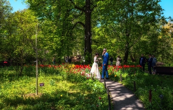 Весенняя свадьба / Аптекарский огород