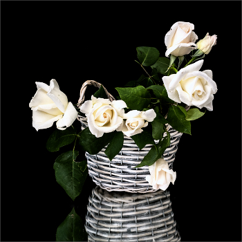 &nbsp; / Натюрморт