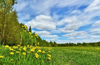 Май ... / Майский этюд ...