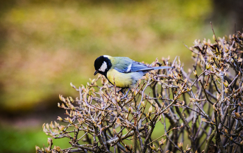 bird / https://www.instagram.com/vaguro_v_u_v

https://web.facebook.com/evgeniy.vagouro

https://vk.com/e.vaguro

https://www.youtube.com/user/MsREPOMEN

https://zen.yandex.ru/id/6229efa215abe97a09db4a54

https://www.tiktok.com/@vaguro_v_u_v