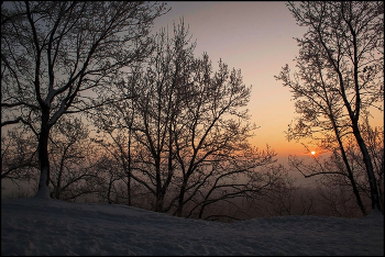 Рассвет / Лес