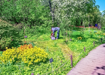 В Аптекарском огороде / Москва