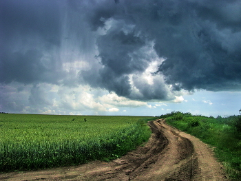 Дождь собирается / Грозовые облака над полем