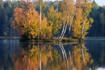 Осенний остров.... / Петербург. Осиновая Роща. Сентябрь