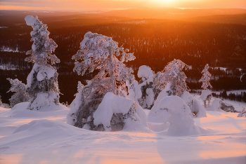 Немного зимы / Финляндия