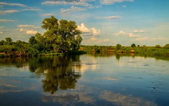 Ну вот и лето # 02 / 04 июня 2022 года. река Клязьма у города Дрезна, Восток Подмосковья.