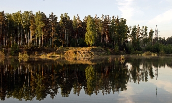 Лес и озеро / Раннее утро на озере