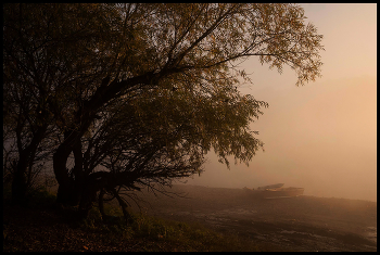 Туман / Утро река
