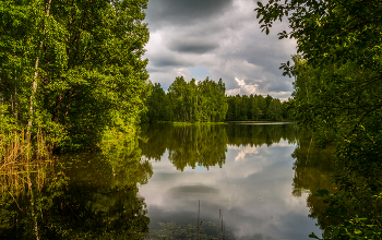 Ну вот и лето # 04 / Ну вот и лето # 05 05 июня 2022 года. Озеро в лесу у города Дрезна, Восток Подмосковья.