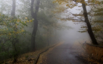 В тумане осеннем...... / Железноводск. Октябрь
