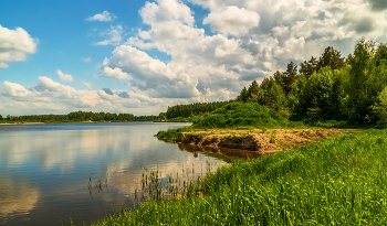 Ну вот и лето # 07 / 05 июня 2022 года. Озеро в лесу у города Дрезна, Восток Подмосковья