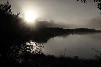 Утиное утро. / Утро у реки.