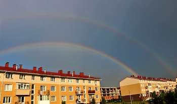 Двойное коромысло / 13 июня