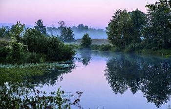 Утренний пейзаж. / Озеро Рожок.